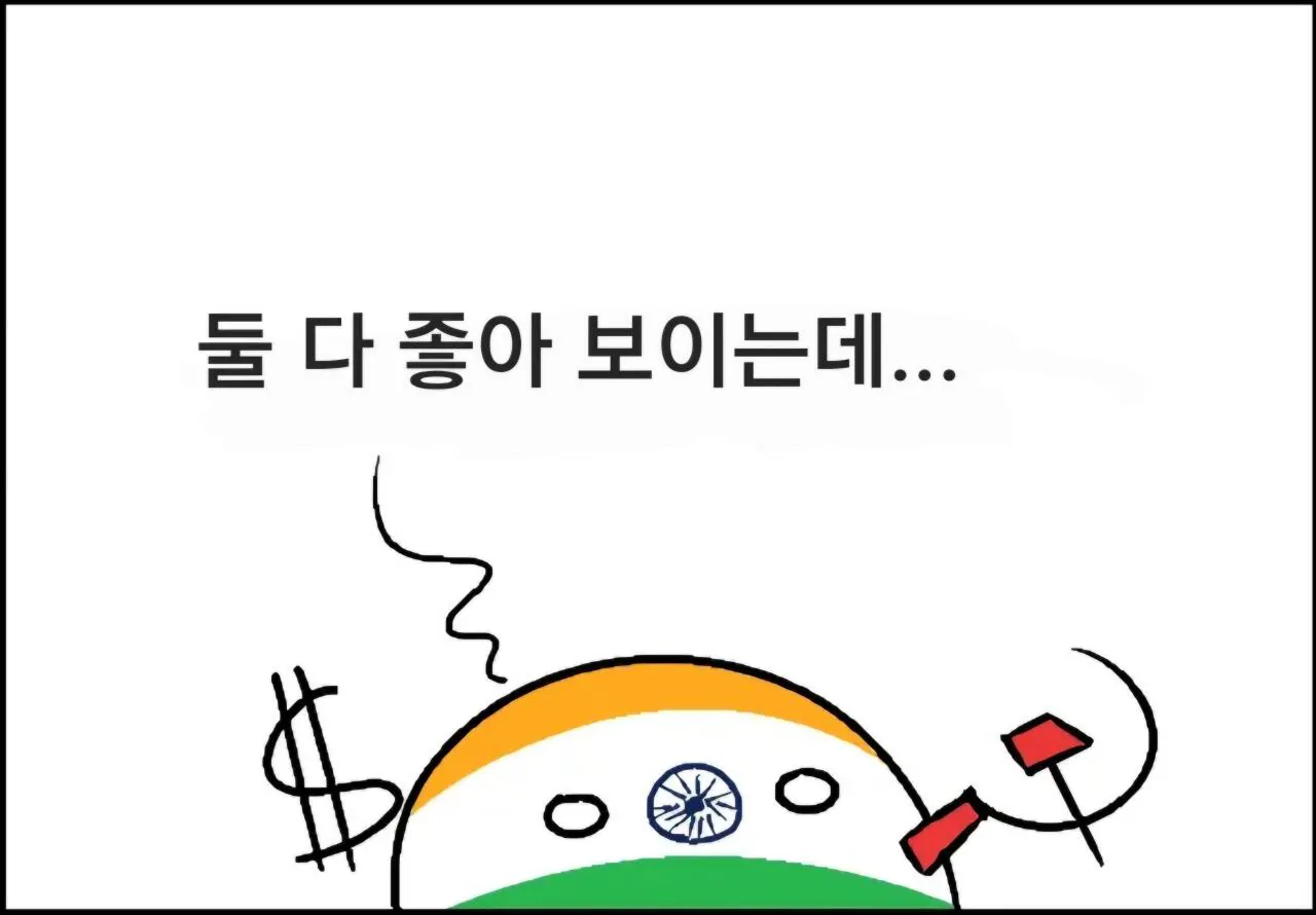 1000091494.jpg 폴란드볼) 독립후 초강대국을 목표로 했던 인도 경제가 망한 이유