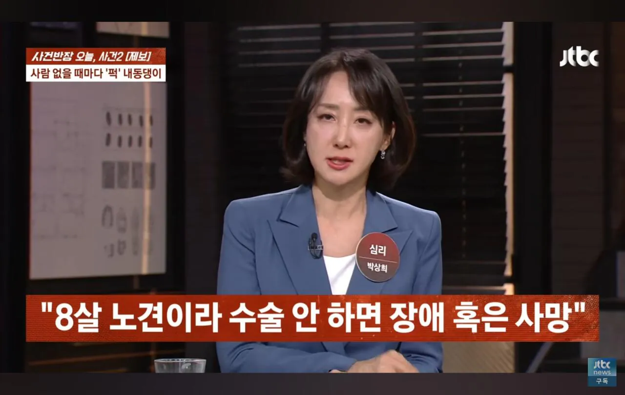 Screenshot_20261022_112527_YouTube.jpg 애견폭행영상주의) 사건반장에 나온 이웃 강아지 학대한 레전드 싸이코패스 ㄷㄷㄷ