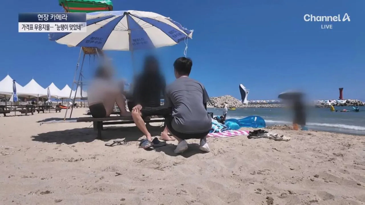 1 (36).jpg "바가지 싫으면 바다 오지마"... 정부 발표에도 여전한 바가지