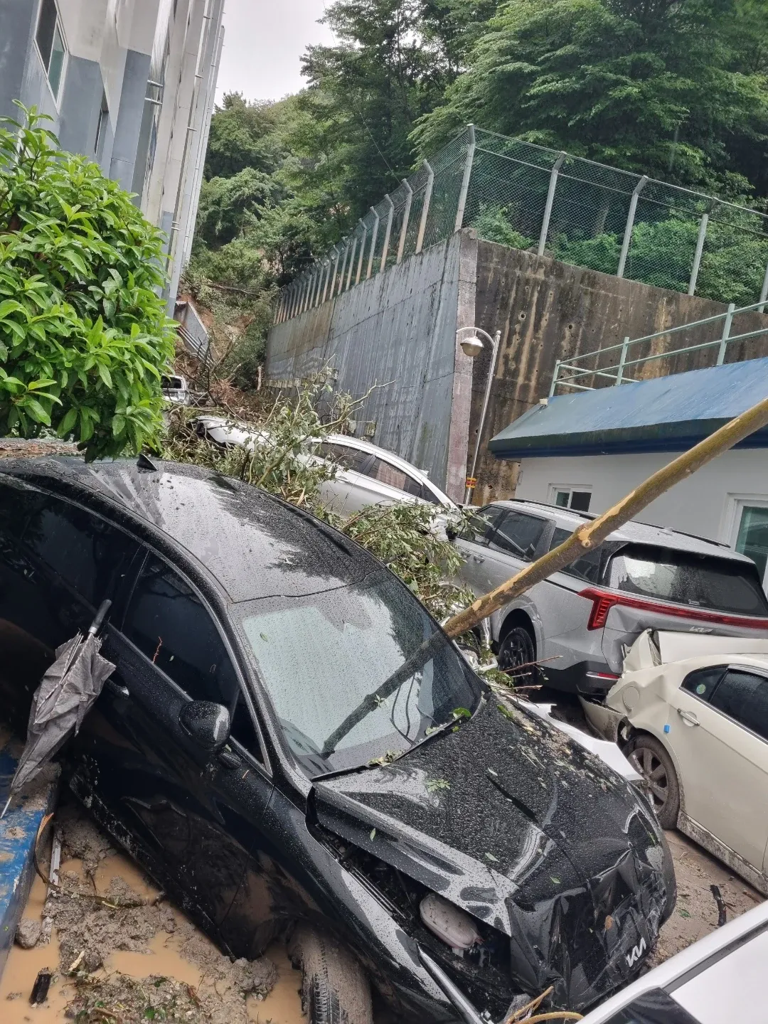 거제 피해 상황