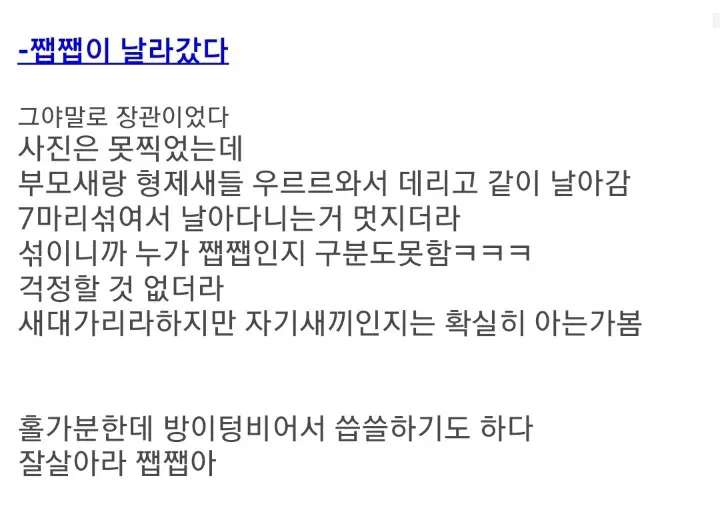 GbSuCo (2).webp 흔한 디씨의 흥부.ㄷㄷㄷ.MP4