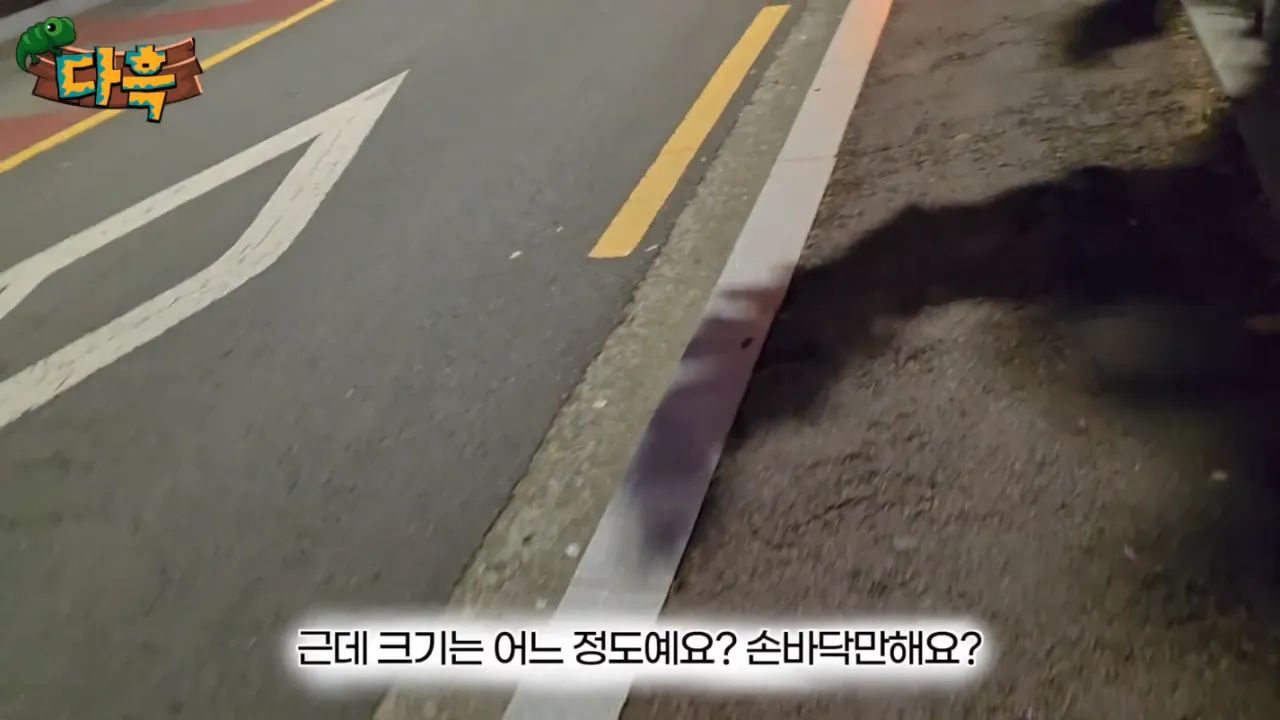 e2a0a46b3cd19790cddb4eaf4d87a428.png (약혐) 최근 부산에 자생한다는 거대돈벌레 ㄷㄷ