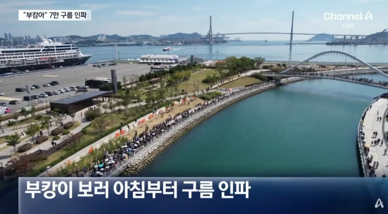“부캉이 보자” 7만 명 구름 인파…불법주차 몸살 (3).png 오늘 하루 부산 상어 보려고 방문한 방문객수