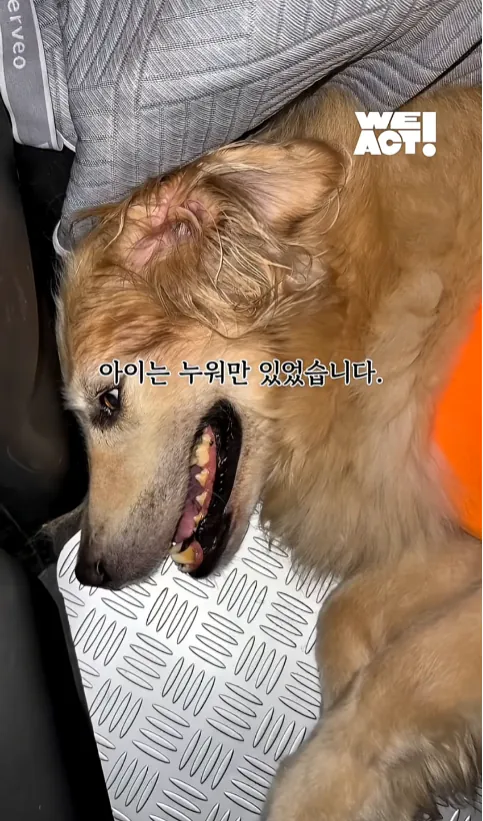 image.png ๊ฐ๋นก์ฃผ์) ํญ์ผ์ ์ฐจ ์์ ์ด๋ ๋ฆฌํธ๋ฆฌ๋ฒ