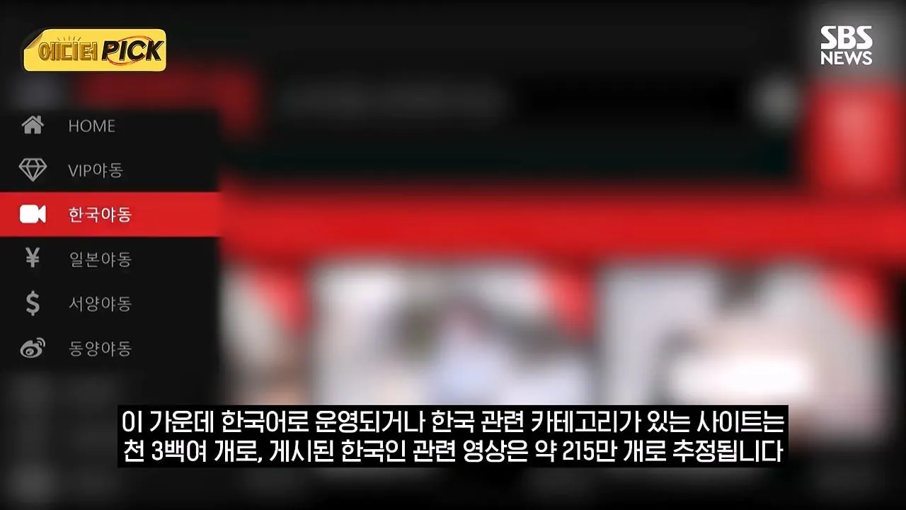 한국 야동 사이트 해킹해서 사이트 폐쇄까지 고려하고 있다는 한국 정부