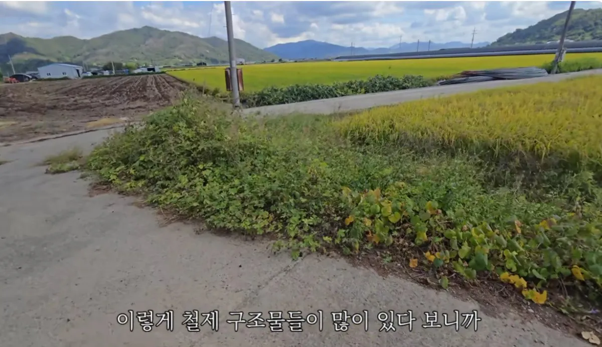 인디아나 웁스 (25).bmp.ren.jpg 스압 ) 금속탐지기로 고인의 유품을찾아준 유튜버