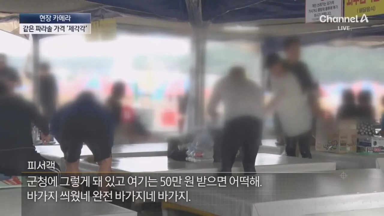 1 (14).jpg "바가지 싫으면 바다 오지마"... 정부 발표에도 여전한 바가지