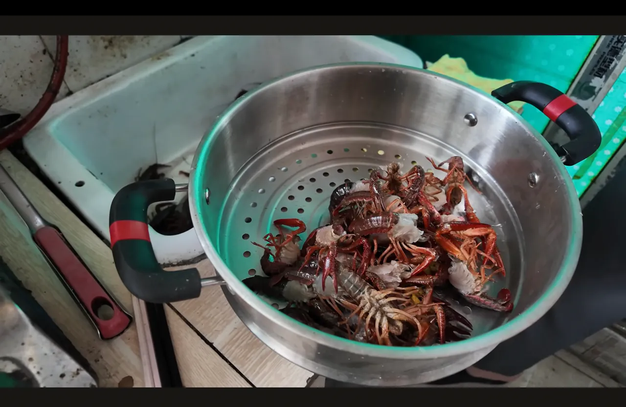 스크린샷 2026-07-22 오후 5.24.05.png 어느 중국인 프리랜서 개발자의 하루.