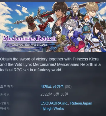 [한글패치] SRPG - Merceranry rebirth (파판택 유사게임)