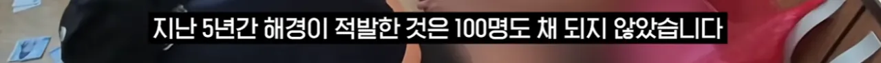 image.png 제주도 근황 시발