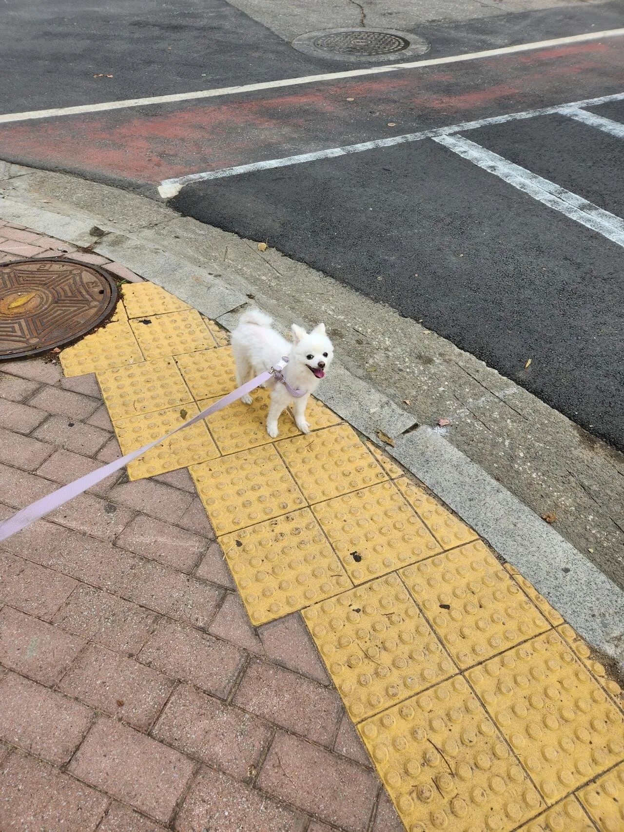 뭐야 포텐 피버타임 끝이야?