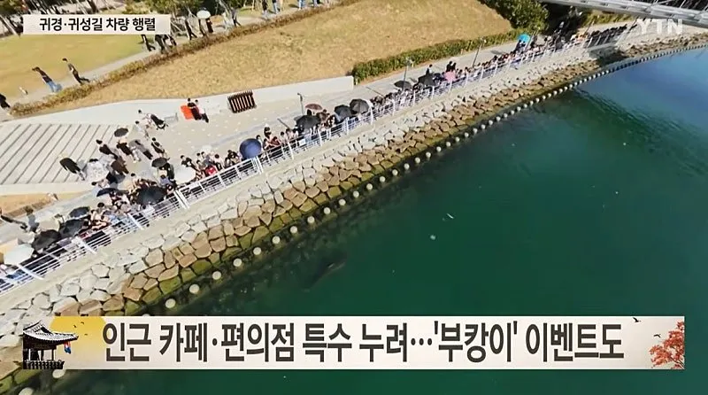 1000014162.jpg 부산 부캉이 근황 ㅎㄷㄷㄷㄷㄷㄷ.mp4