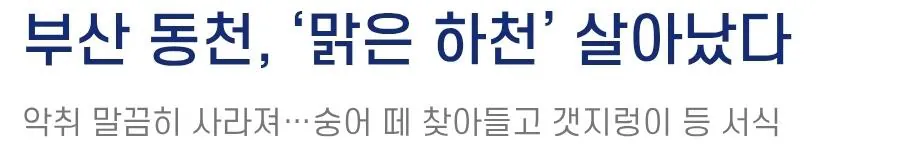 Screenshot_20260922_134121_Samsung Browser.jpg 드디어 밝혀진 부산 상어가 머무르는 이유