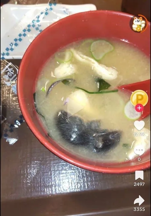 1787803538.jpg ๊ทนํ์ฃผ์) ์ฅ๊ฐ ๋ง์์ก๋ค๋ ์ผ๋ณธ ๊ทผํฉ