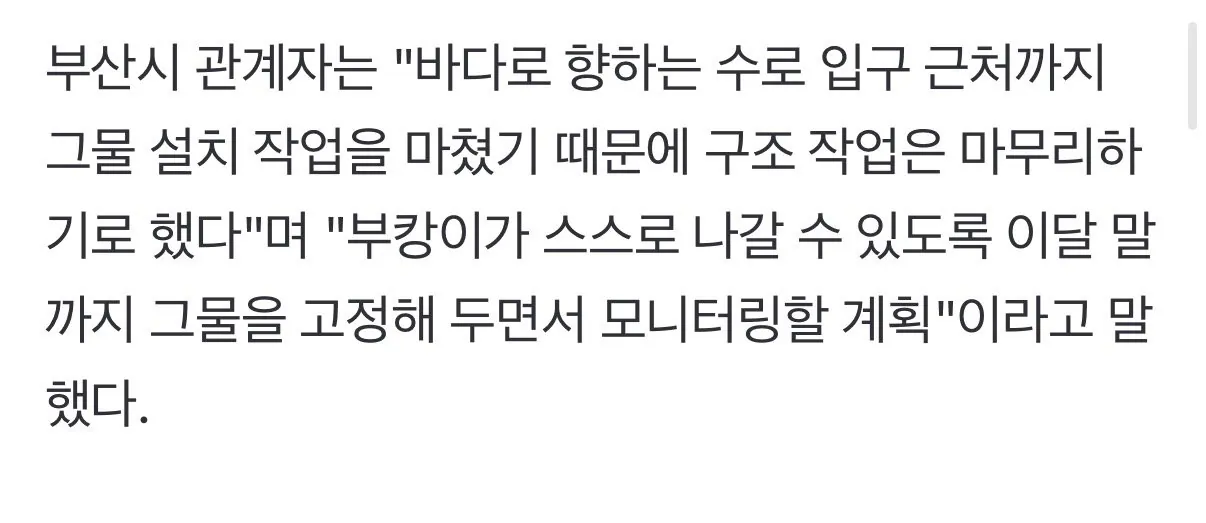 상어 '부캉이' 방류 유도 중단…"스스로 나가도록 기다린다"