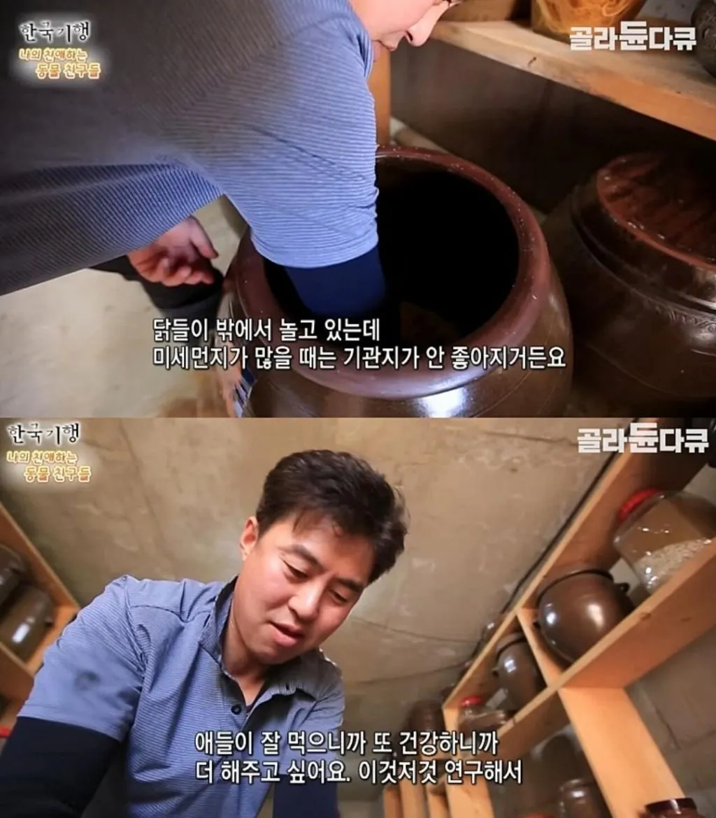 백숙집 차리려고 닭 키우기 시작한 부부의 최후