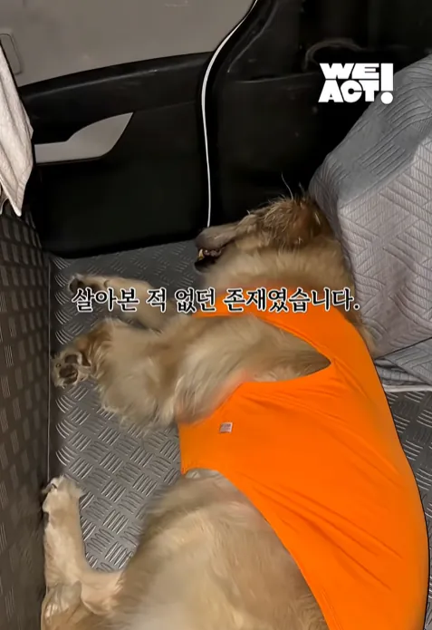 image.png ๊ฐ๋นก์ฃผ์) ํญ์ผ์ ์ฐจ ์์ ์ด๋ ๋ฆฌํธ๋ฆฌ๋ฒ