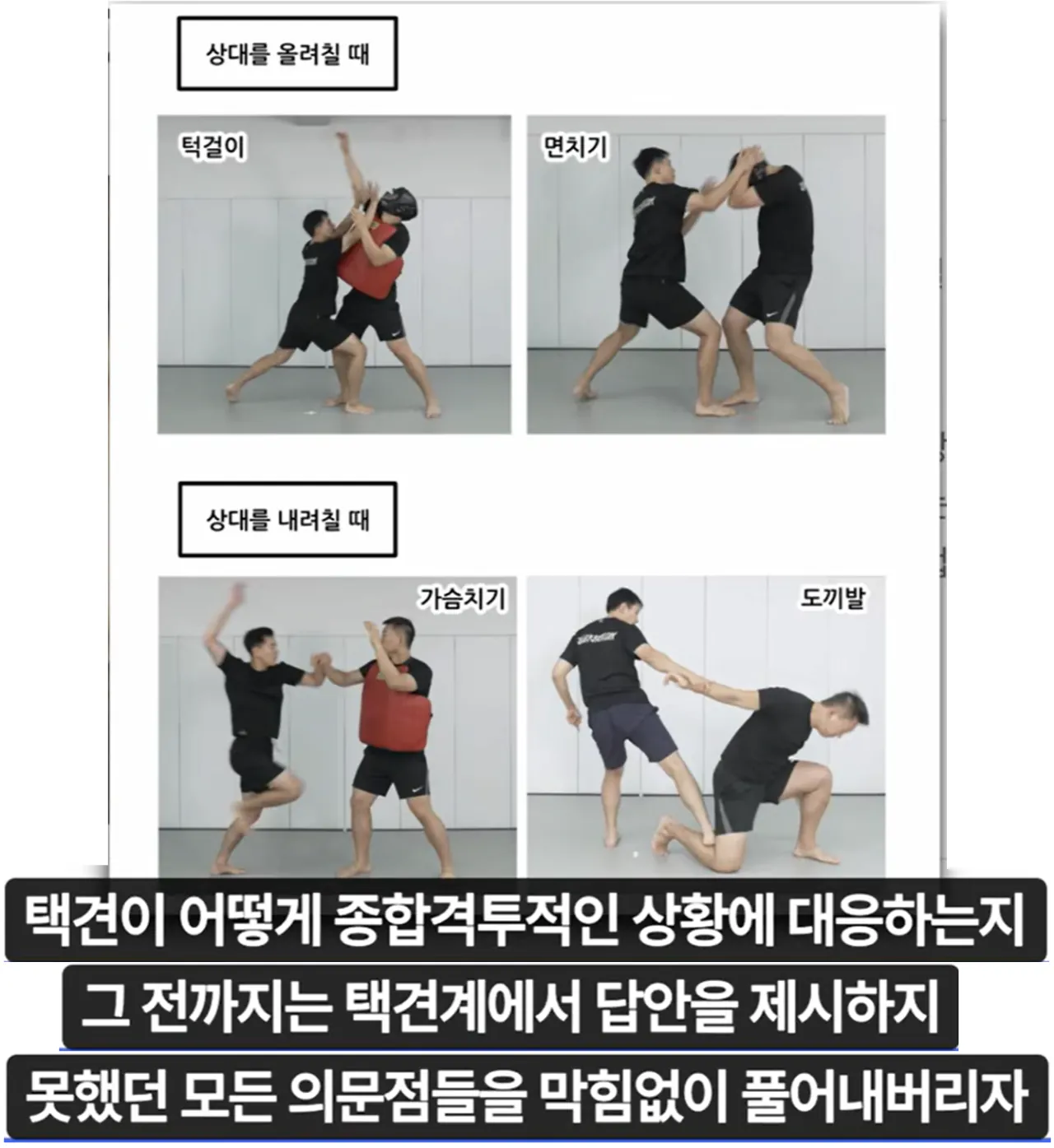 image.png "하나의 유령이 택견계를 배회하고 있다. 윗대태껸이란 유령이."