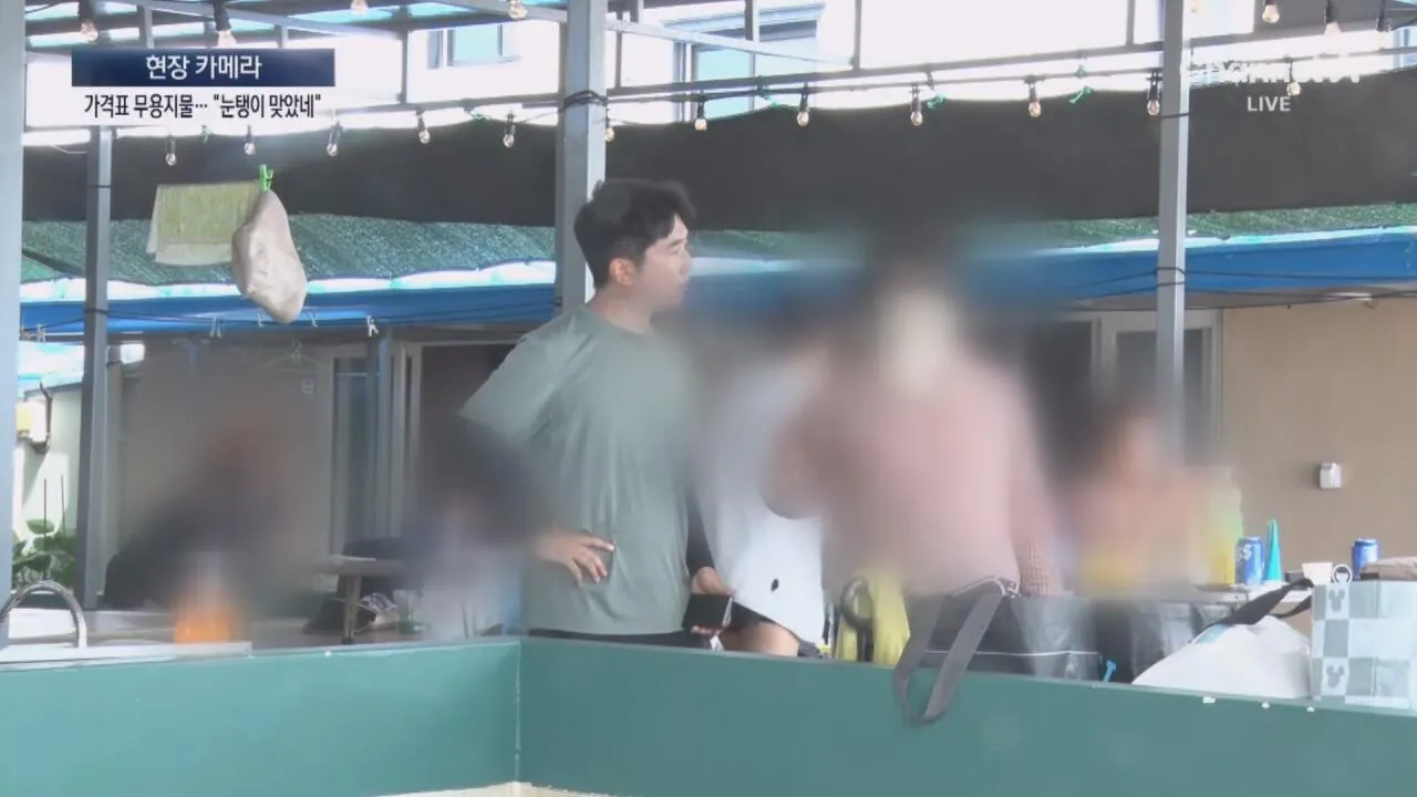 1 (33).jpg "바가지 싫으면 바다 오지마"... 정부 발표에도 여전한 바가지