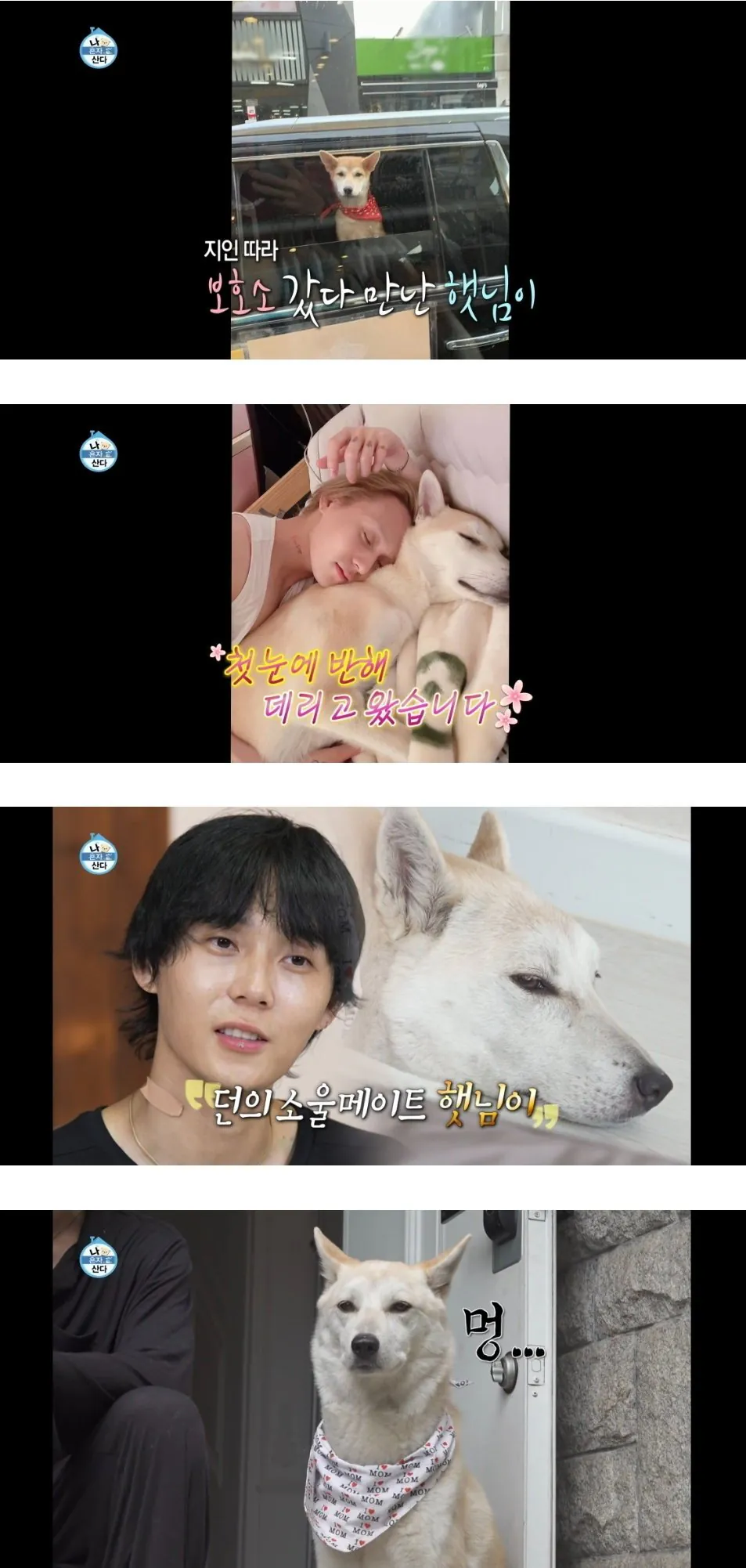 계속 의외라는 반응 나온 나혼자산다 던 편