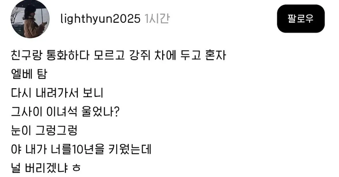 친구랑 통화하다가 강아지를 차에 두고온 견주