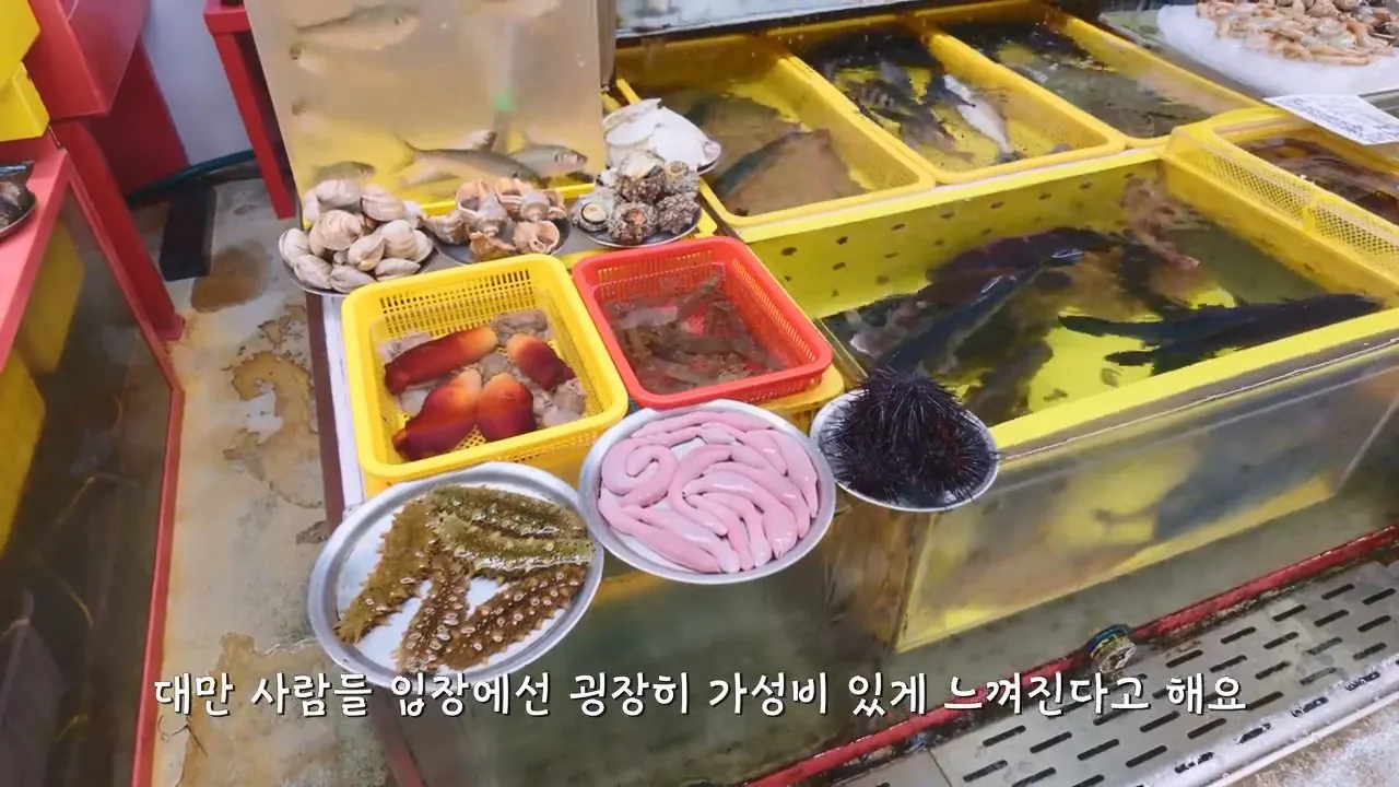 요즘 부산 관광지에서 벌어지고 있는 충격적인 변화.mp4_20260929_094437.175.jpg 지금 부산에 여행온다고 외국인들이 몰리는 이유