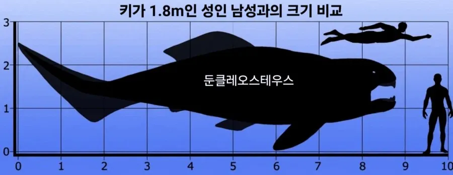 충격적인 너프를 받은 간지 폭발 물고기 이야기