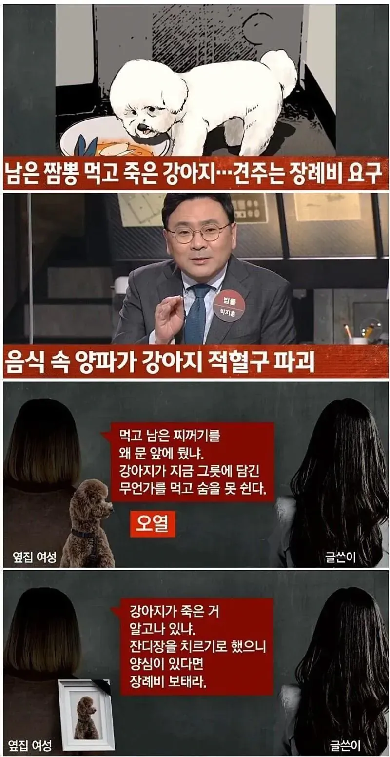 image.png 짬뽕 빈 그릇 내놨다가 대참사 ㄷㄷ.JPG