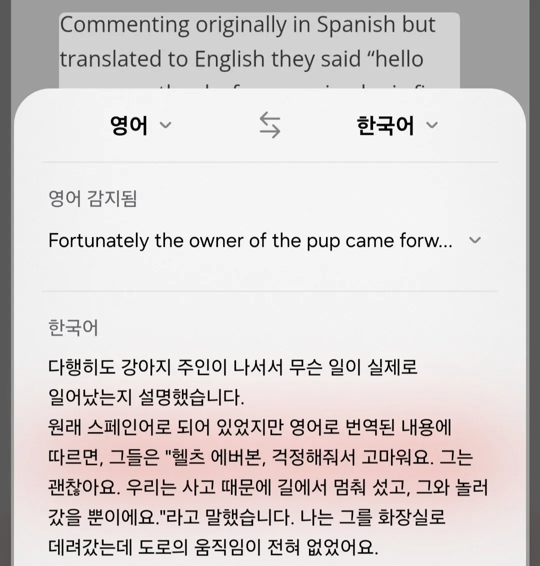 애착인형과 버려진 강아지 진실(뉴스믿으면 안되는)