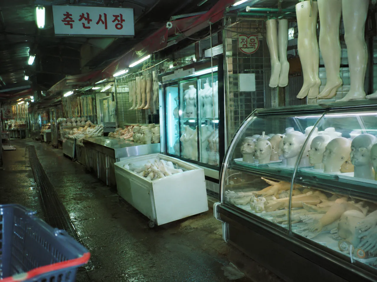 31C6DF58-1B43-40A4-B16E-5DA98AF4CA8A.png 기괴) gpt 이미지 2.0으로 만들어본 것들 34탄