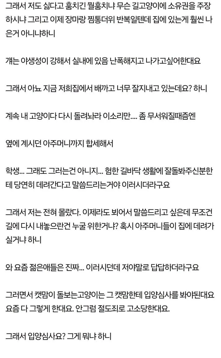길고양이 소유권 주장하는 캣맘