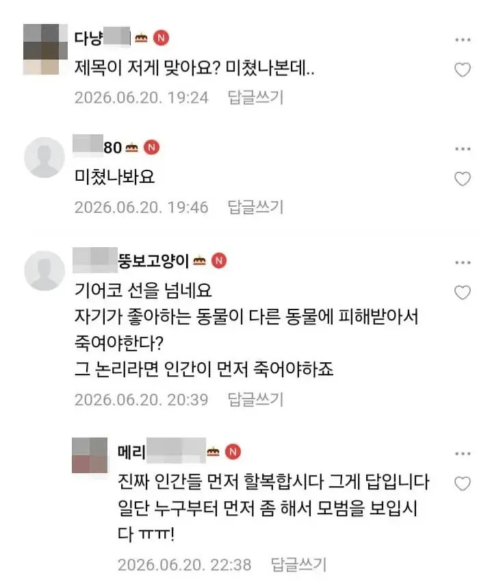 image.png 캣맘금지법? 청원 시작한 새덕후
