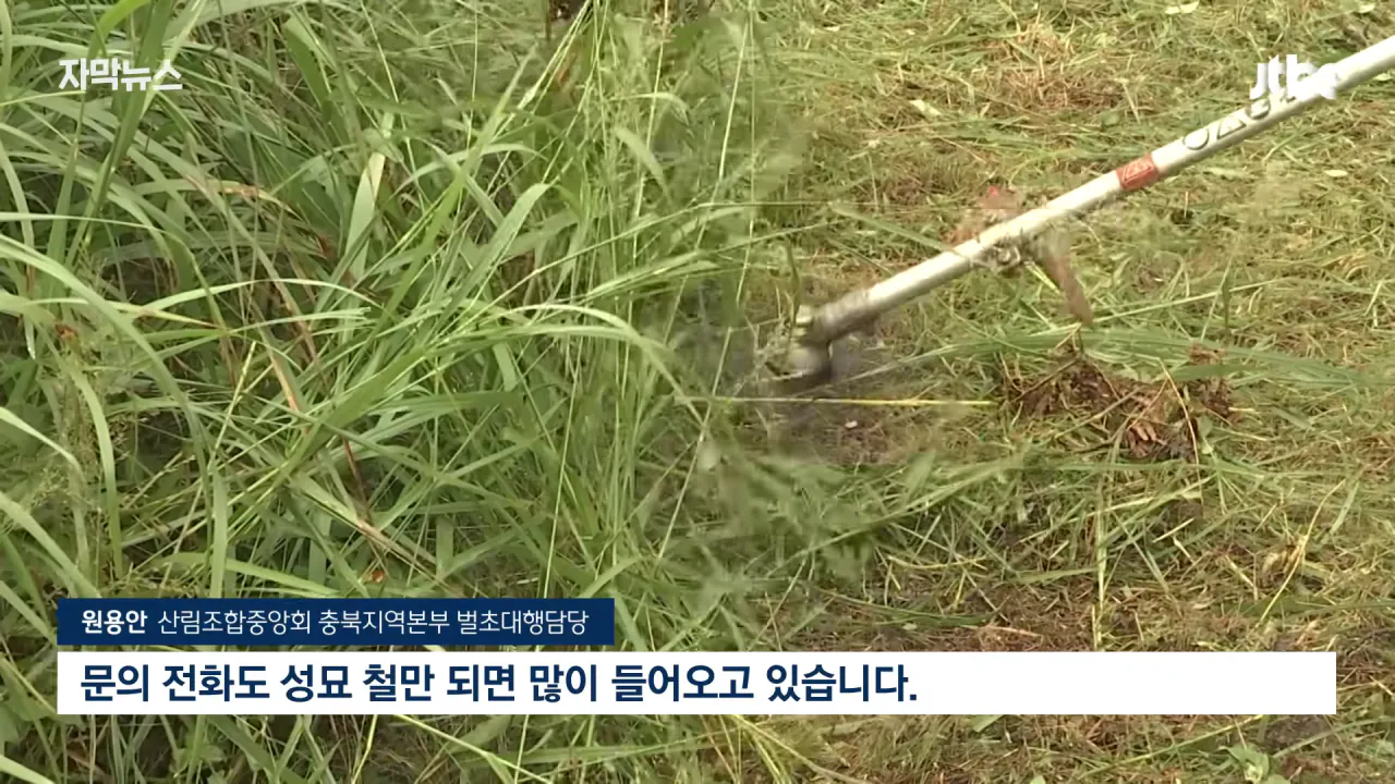 [자막뉴스] '벌초' 언제까지 할 수 있을까…_이제 이 길뿐입니다_ 깜짝 _ JTBC News 0-16 screenshot.png 성묘 & 벌초에 고심하던 600년 종가의 결단 ㄷㄷㄷ