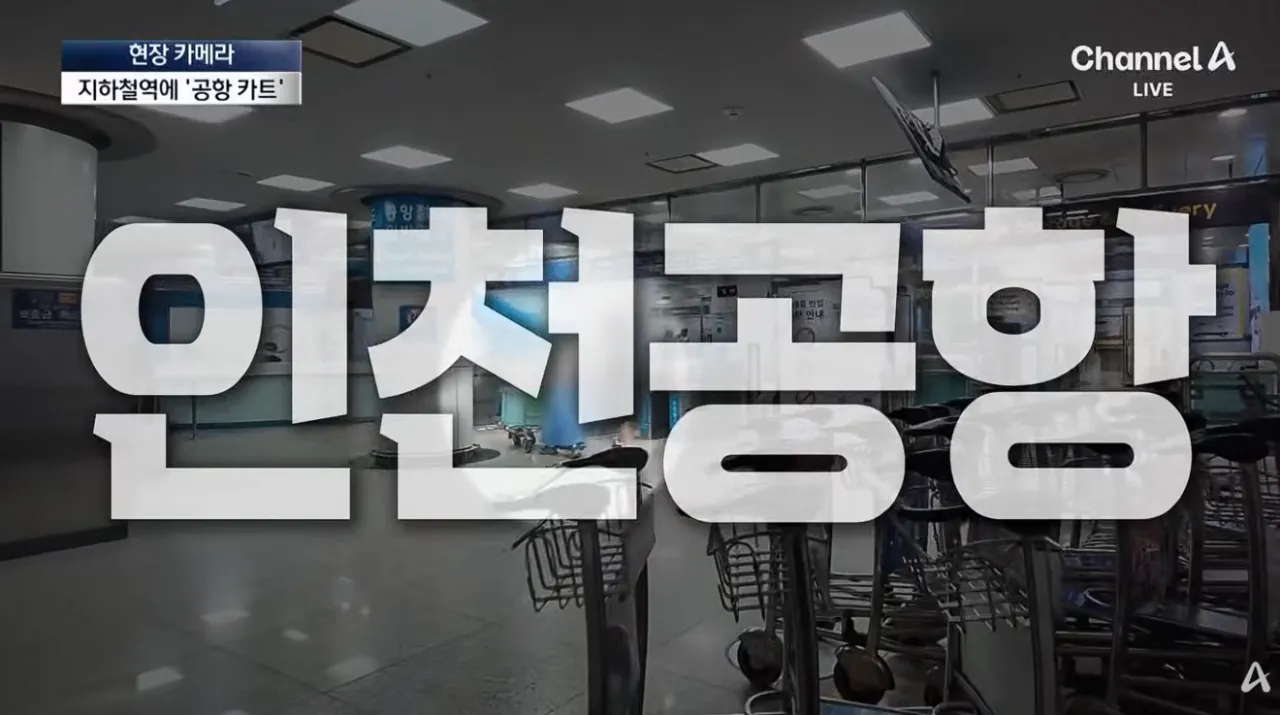 설마 여기까지…공항 카트의 황당 종착지 (12).png 공항카트를 자기 마음대로 쓴다는 뻔뻔한 인간들