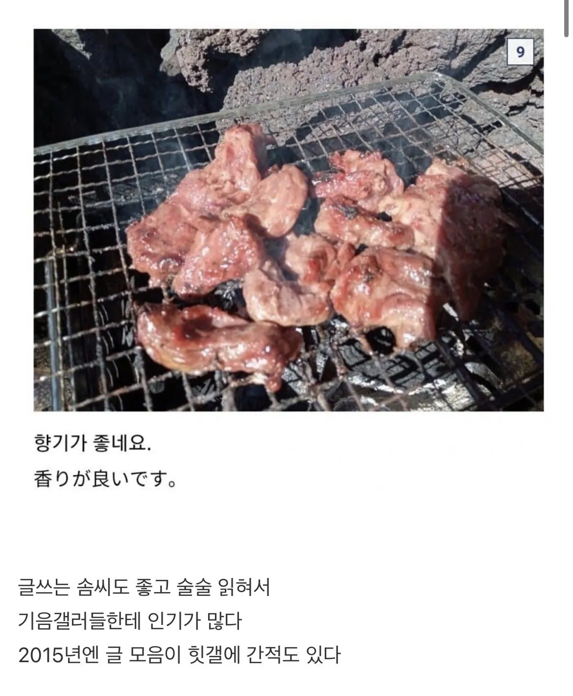 1788876020.839812.jpeg 10년간의 디시생활로 현지화 다 된 일본인