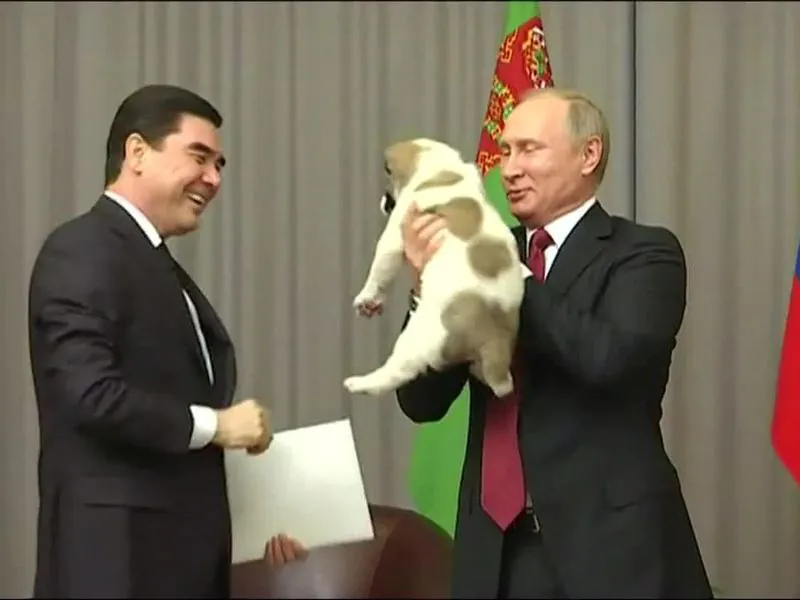 image.png 투르크메니스탄의 국견 알라바이