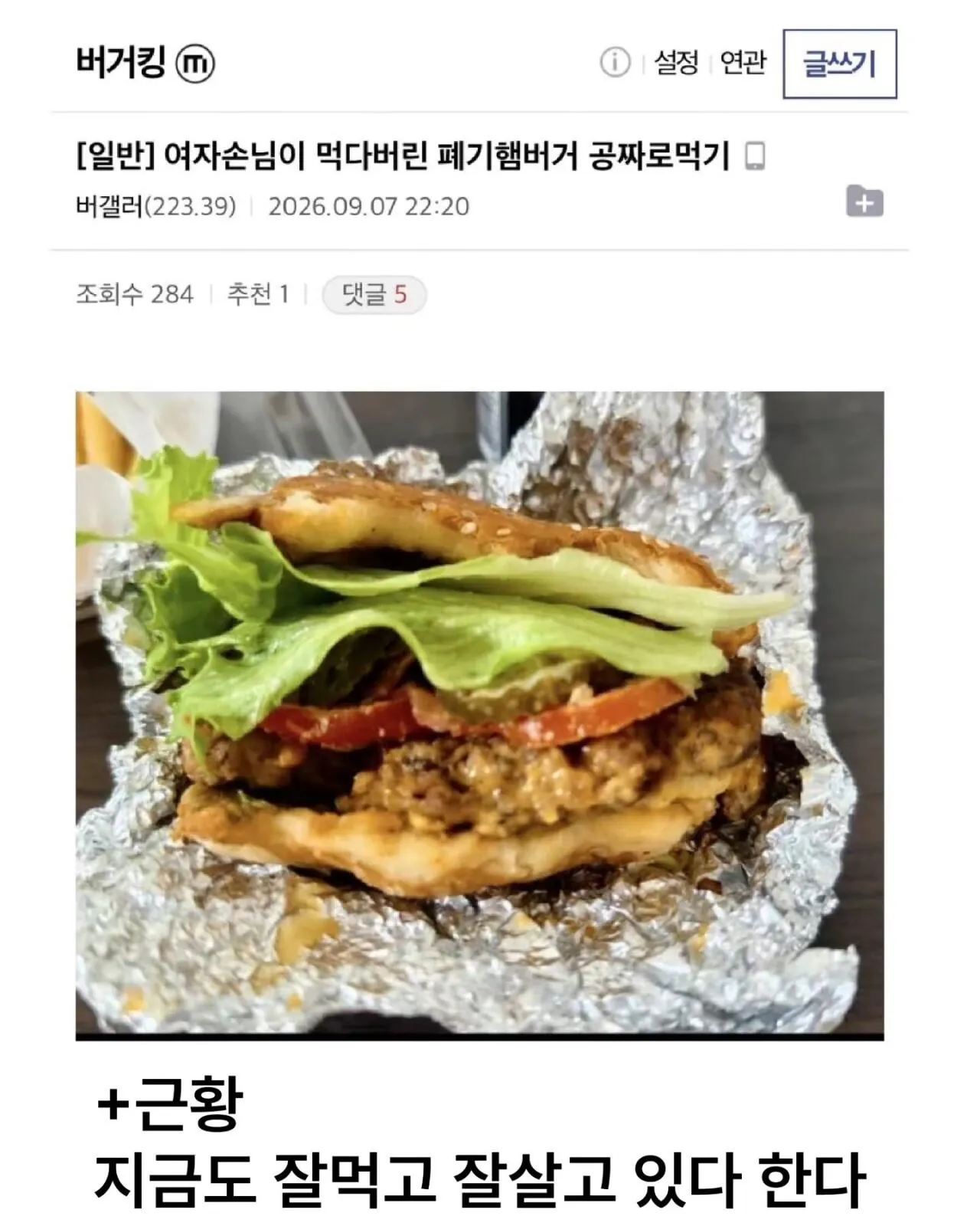 한강에서 공짜로 식사 해결하는 디시인 근황