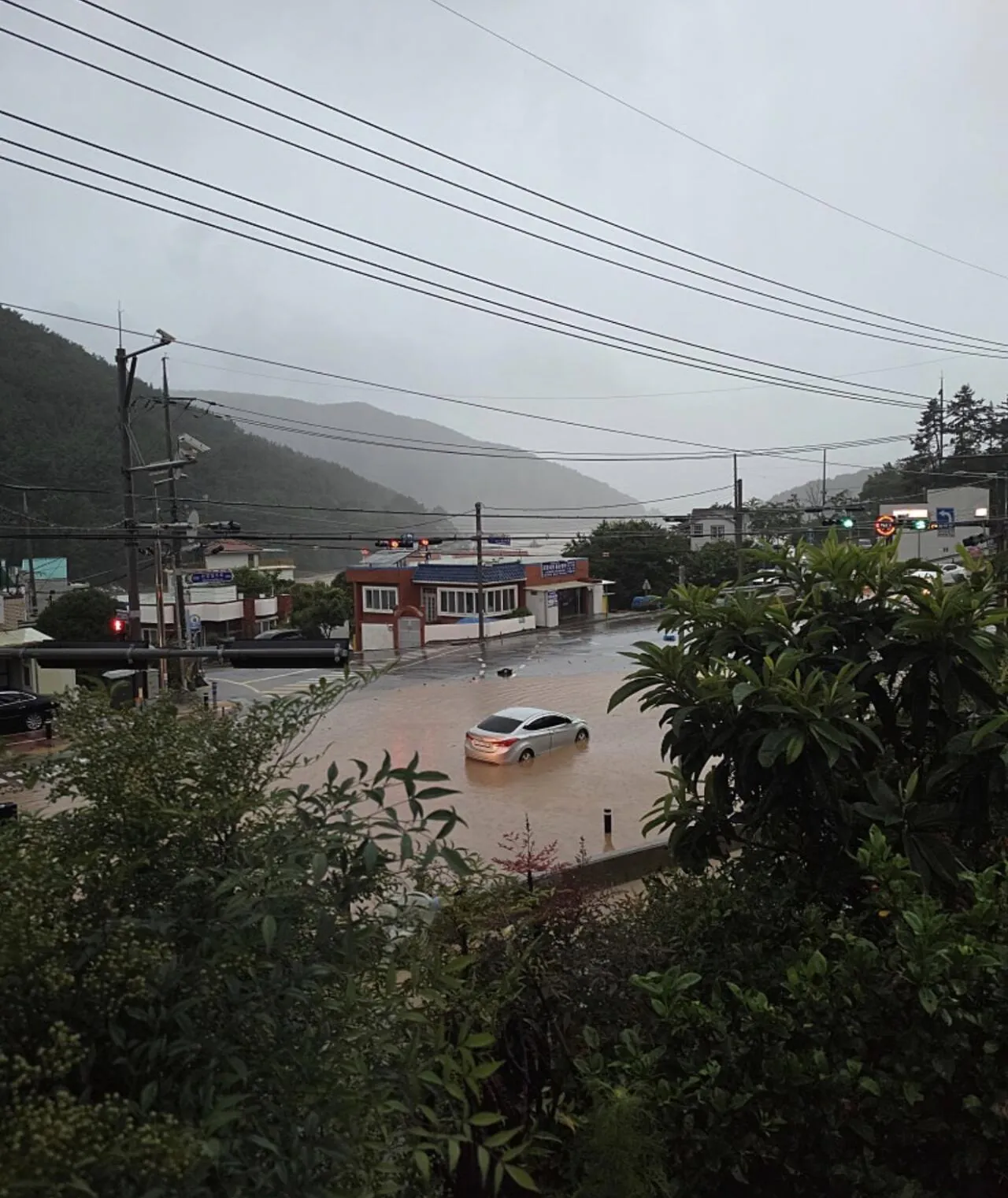 거제에묻혔는데 통영도 난리남.. 통영상황