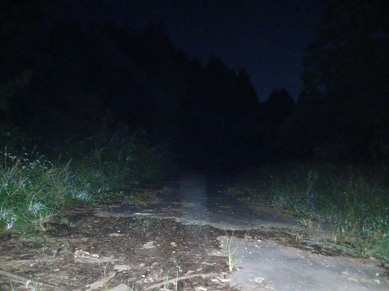 1000029368.jpg 혐주의) 제주도 뱀 수색 작전 1