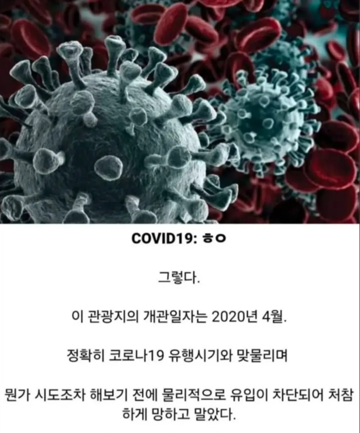 Screenshot_20261018_181840_YouTube.jpg 800억 들여 만든 관광지의 현황ㅋㅋ