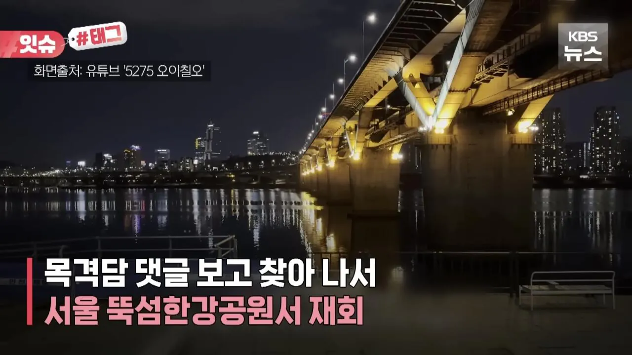 꽁꽁얼어붙은한강 고양이 근황