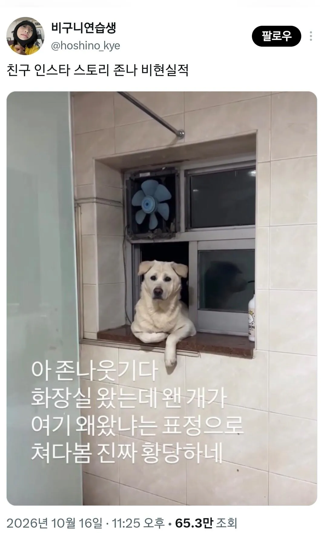 1000118477.jpg 친구 인스타 스토리 존나 비현실적