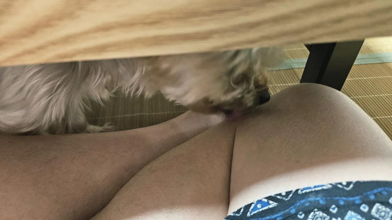 20260919_211431.jpg 저녁 명절 대비 부친 전에 한잔