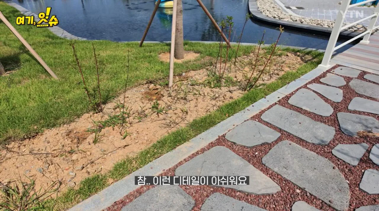 섬 박람회를 직접 가보니 화가 난다는 기자 ㄷㄷ