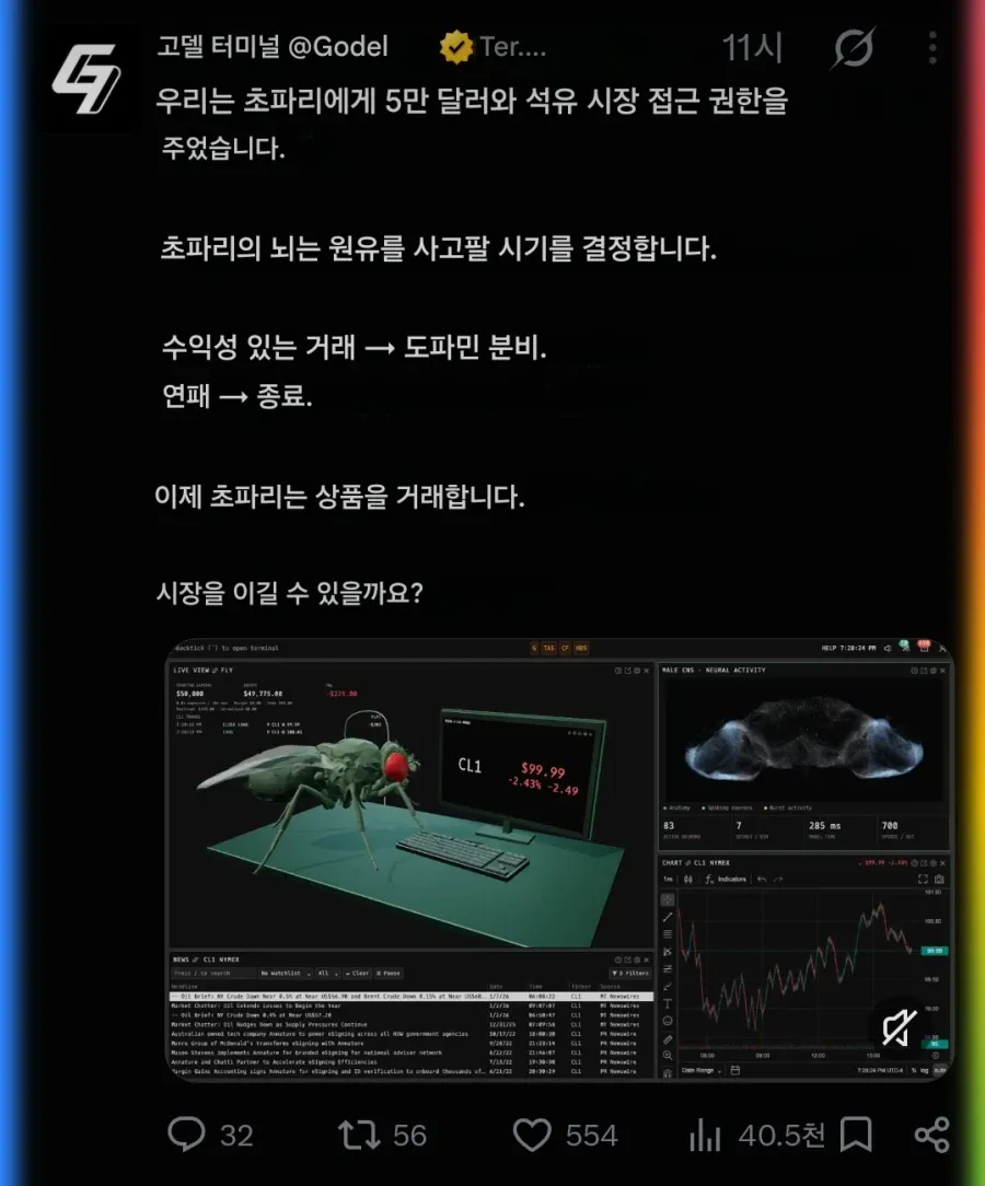 석유시장.webp 이젠 사람의 지능까지 도전하고 있다는 통속의 뇌 초파리 근황 ㄷㄷㄷㄷㄷ