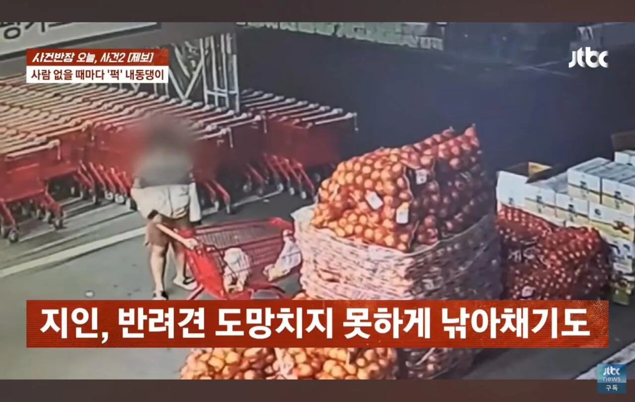 Screenshot_20261022_112818_YouTube.jpg 애견폭행영상주의) 사건반장에 나온 이웃 강아지 학대한 레전드 싸이코패스 ㄷㄷㄷ