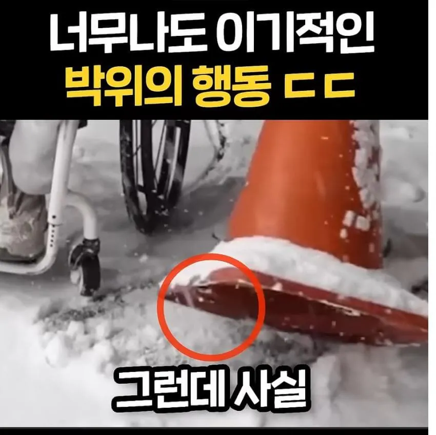 1790007009.jpg 너무 이기적이라고 논란중인 박위