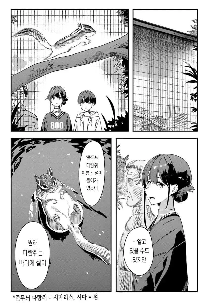 1000010270.webp 줄무늬 다람쥐 습성을 알려주는 만화.manhwa