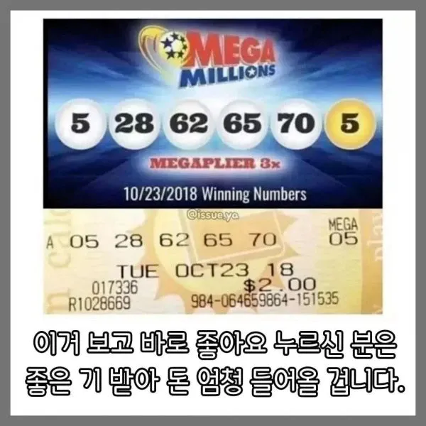 1조 5천억 복권실물