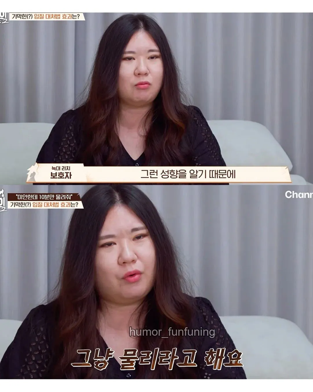 6509.jpg 강아지가 10분만 물면 더이상 안문다고 그냥 물리라고 하는 보호자 ㄷㄷ